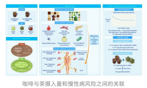 咖啡與茶再添“續(xù)命”實錘 哈佛研究揭示健康長壽的秘密